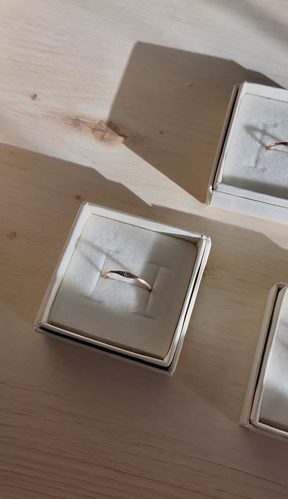 Initiale - Ring - Gold Filled 14K